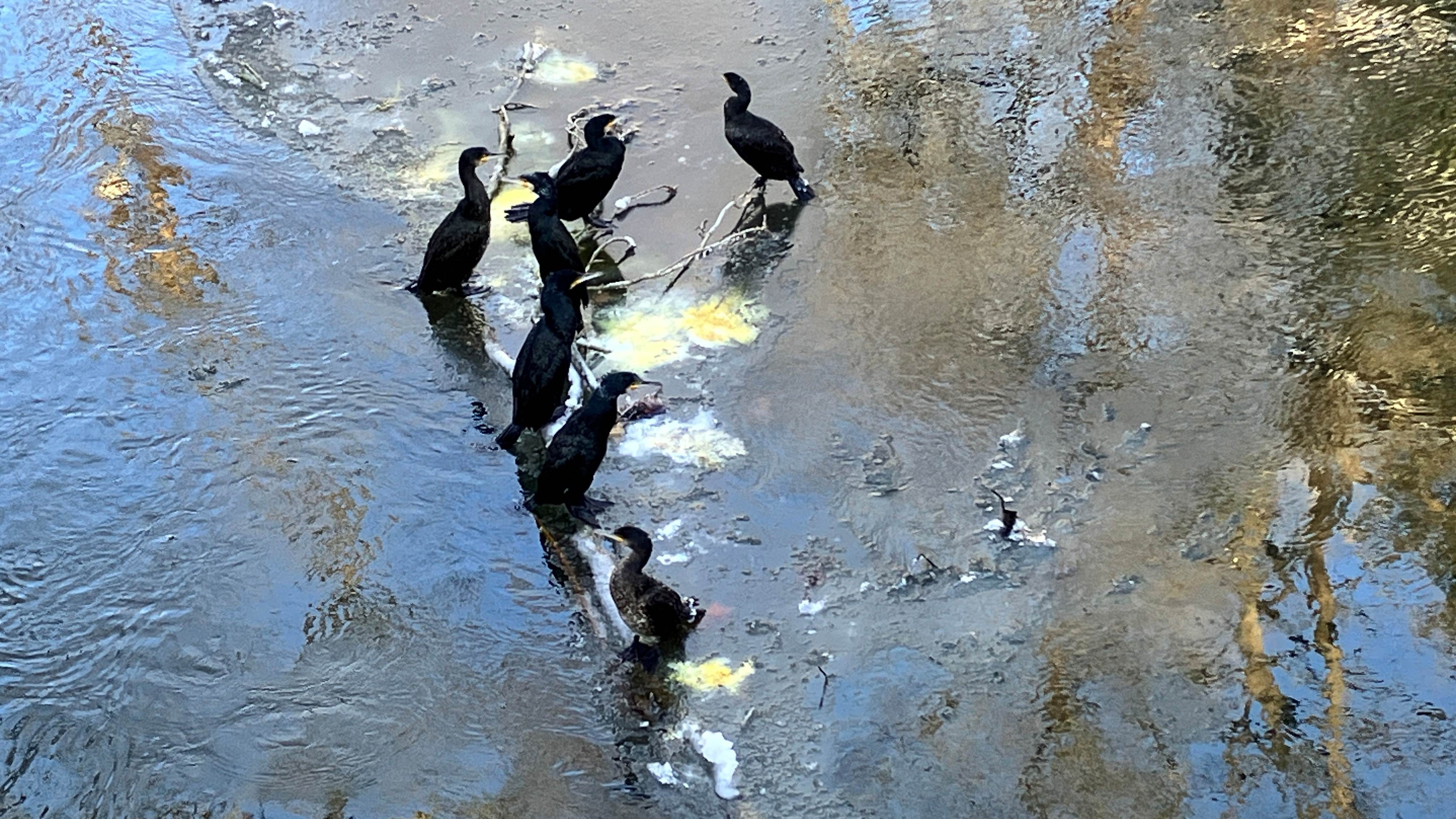 2022.01.26 news 640x320