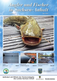 fachzeitschrift 2026 42 c