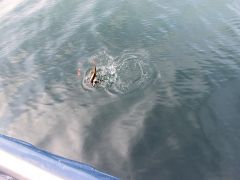 Senioren Meer 2018 081