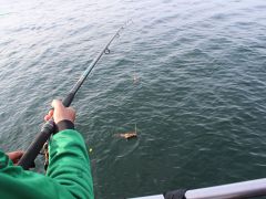 Senioren Meer 2018 086