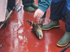 Senioren Meer 2018 090