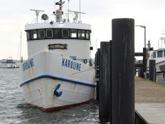 Meeresangeln Senioren 2019 062