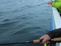 Meeresangeln Senioren 2019 071