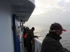 Meeresangeln Senioren 2019 075