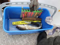 Meeresangeln Senioren 2019 078