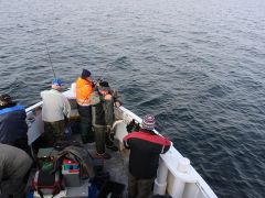 Meeresangeln Senioren 2019 096