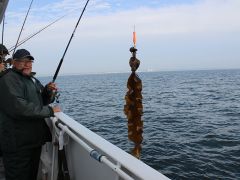 Meeresangeln Senioren 2019 102