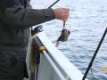 Meeresangeln Senioren 2019 105