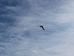 Meeresangeln Senioren 2019 109