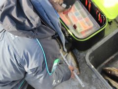 Meeresangeln Senioren 2019 114