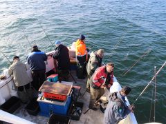 Meeresangeln Senioren 2019 115