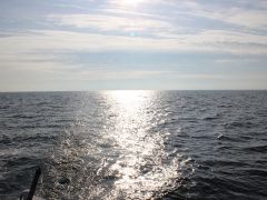 Meeresangeln Senioren 2019 118