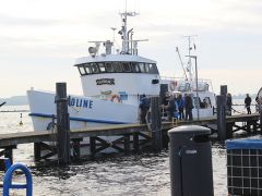 Meeresangeln Senioren 2019 124