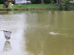angeln von mitgliedern mit einer behinderung 2022 053 shrink