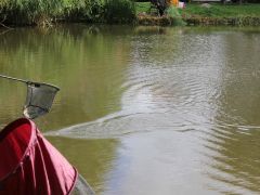 angeln von mitgliedern mit einer behinderung 2022 055 shrink