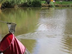 angeln von mitgliedern mit einer behinderung 2022 056 shrink