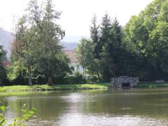 angeln von mitgliedern mit einer behinderung 2022 115 shrink